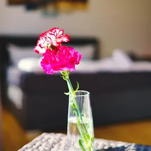 https://altstadt-perle-x-lodges.dresdenhotels.net